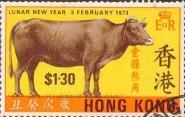2046年香港马会今期开奖号码的深度解析与展望2024香港今期开奖号码马会2024年第39期开奖结果