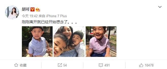 天下釆票，解锁免费资料大全的秘密宝典天下釆票免费资料大全2019生肖表,小鱼儿玄机