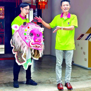 探秘香港王四不像图，传统与现代交织的独特文化符号香港王四不像图九龙