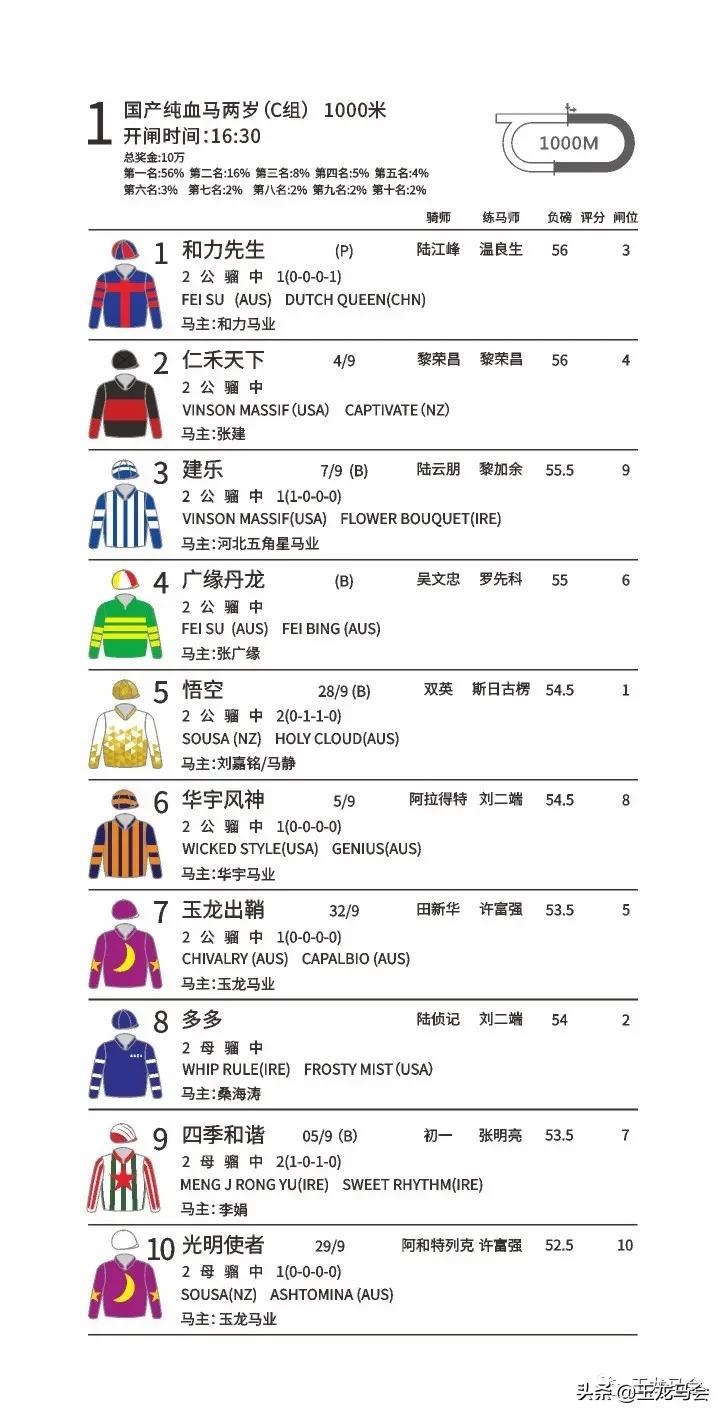 探索香港全年资料马会大全，赛马的魅力与文化深度香港2021年马会资料大全