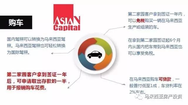 今晚特马揭秘，理性购彩，享受乐趣今晚开什么特马肖