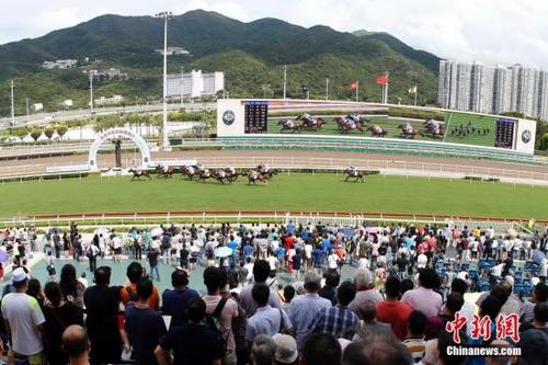 2031年香港赛马内部免费资料，揭秘与解读香港马资料大全2019