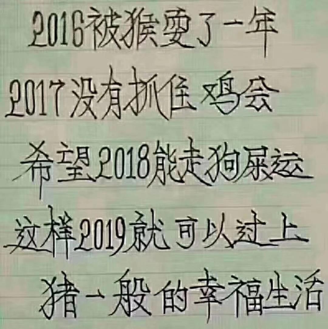 揭秘四肖选一，精准捕捉中特特的奥秘四肖选一肖中特特肖有几组