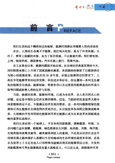 引言部分（约305字）