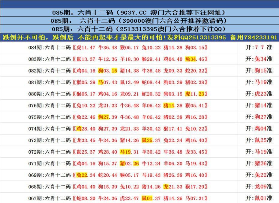 探索香港全港四肖八码精选资料的奥秘香港四肖八码师网