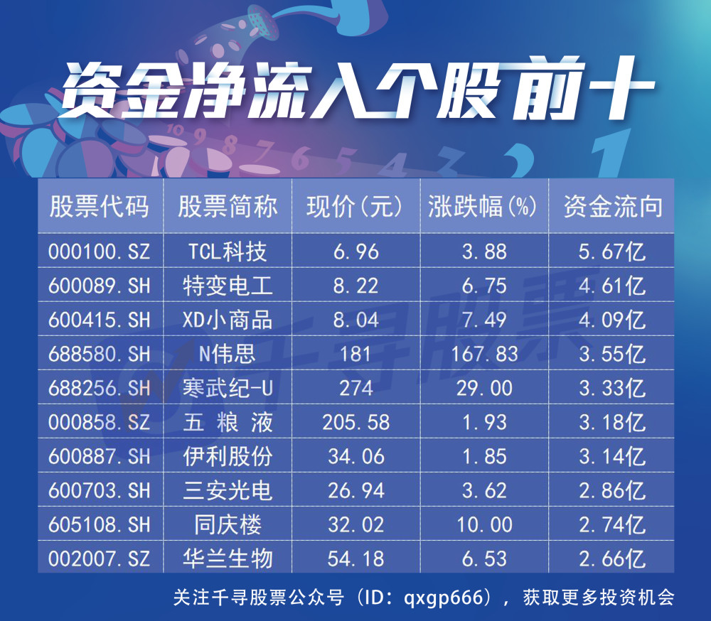 揭秘香港今期开奖号码，一场数字与运气的奇妙碰撞香港今期开什么码5期开的什么