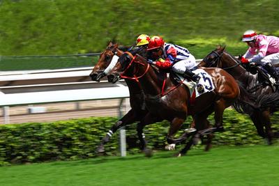 2019年香港马会