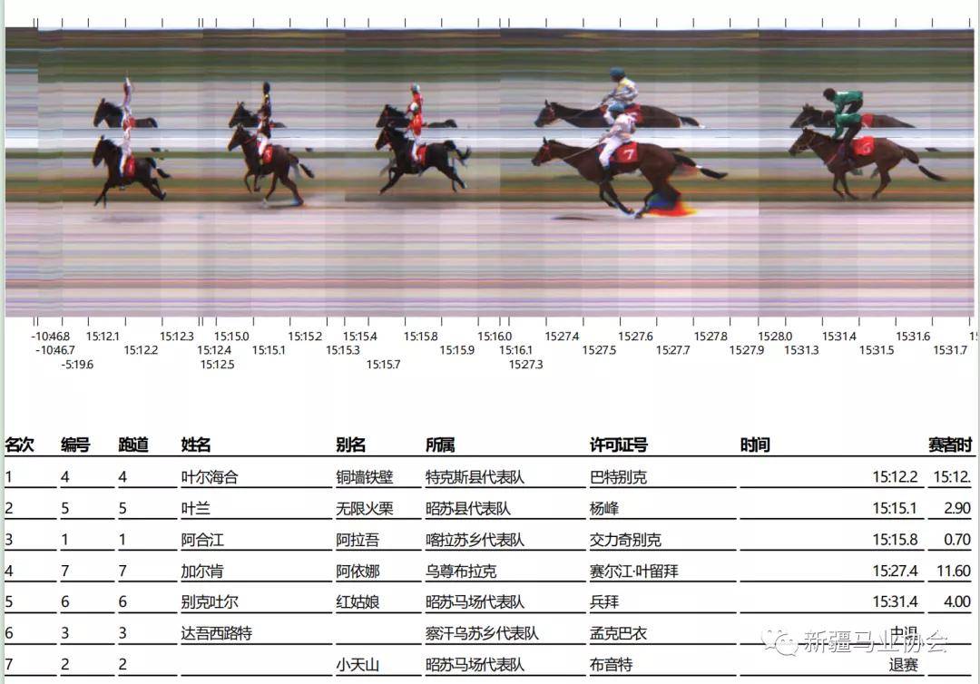 2019年马会全年资料回顾，赛马的激情与辉煌二0一九年马会全年资料1