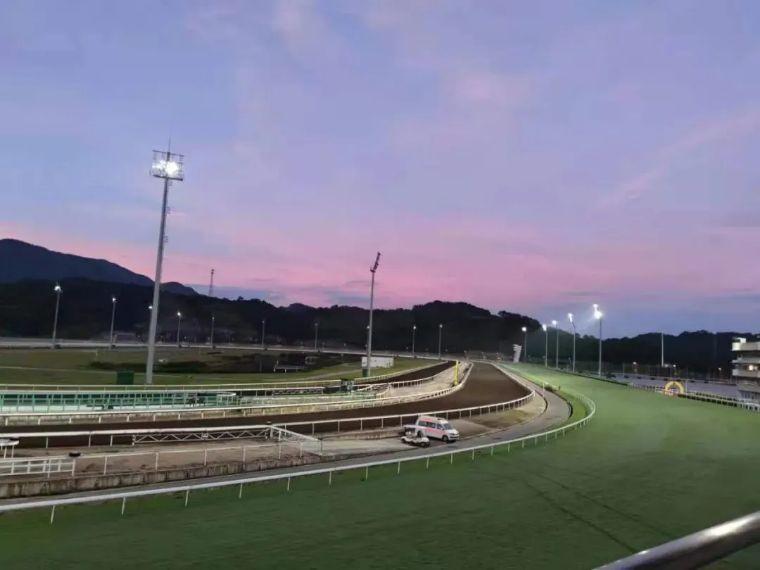 2019香港马会全年资料大全，精彩赛事与辉煌成就回顾香港2021年马会资料