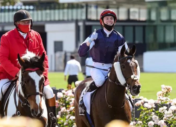 2018香港马会资料大全，赛驹风云，尽在此间香港2021年马会资料大全