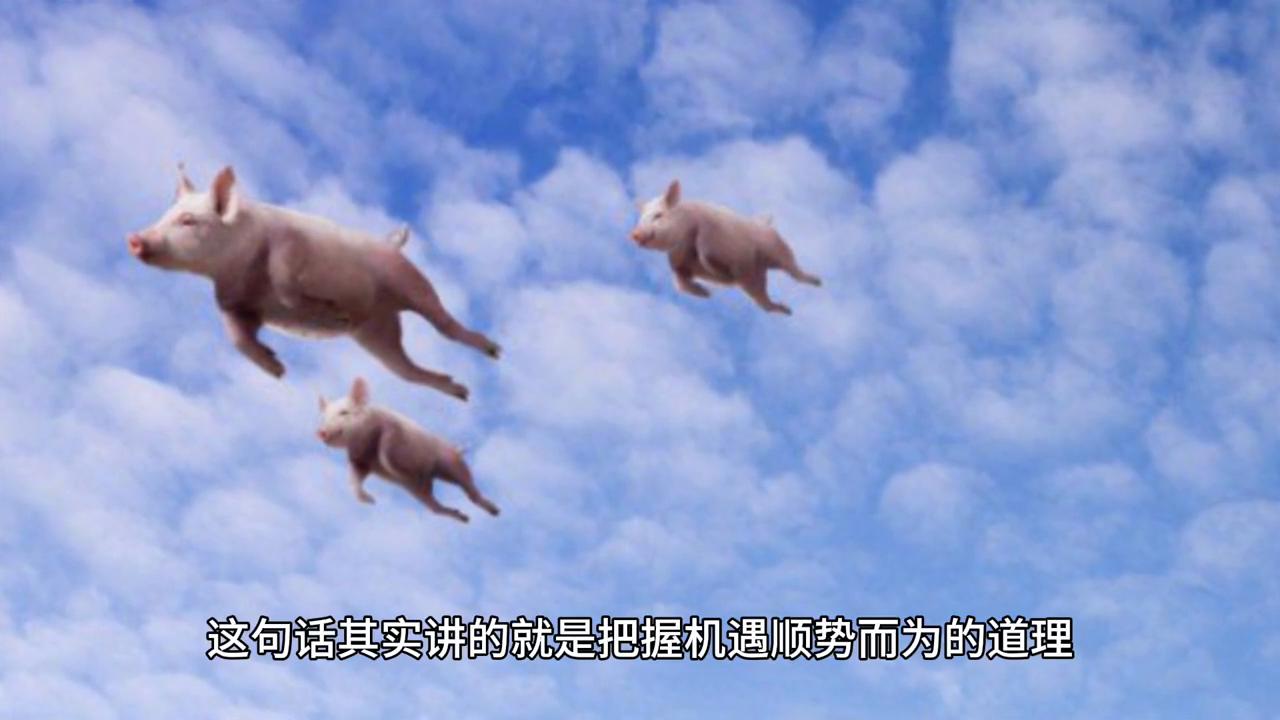 2043年，回顾与展望—香港历史开奖结果的社会影响2024香港历史开奖结果查询表图片