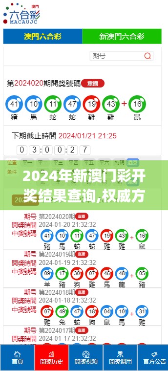 探索新澳好彩，204年免费资料查询的深度解析澳门新彩