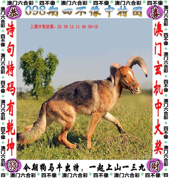 今期四不像图，传统与创新的奇妙碰撞今期四不像图 今晚 今天