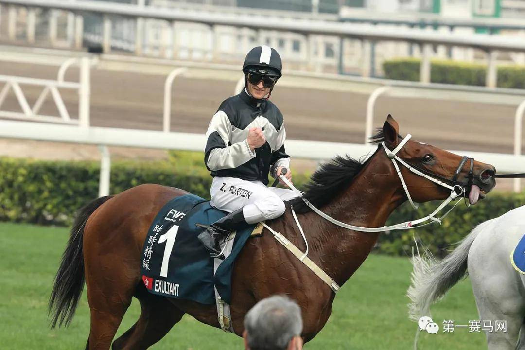 2019香港马会资料大全，免费资源与精彩赛事回顾香港2021年马会资料大全