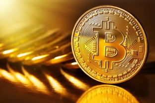 澳门六开奖，新纪元下的数字魅力与幸运探索开奖澳门开奖结果 开奖记录表
