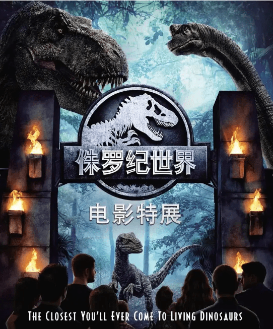 探索数字世界的奇妙之旅，揭秘www.7891234560的神秘面纱7777788888管家婆老家