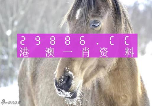 澳门一肖一码100%澳门正版资料