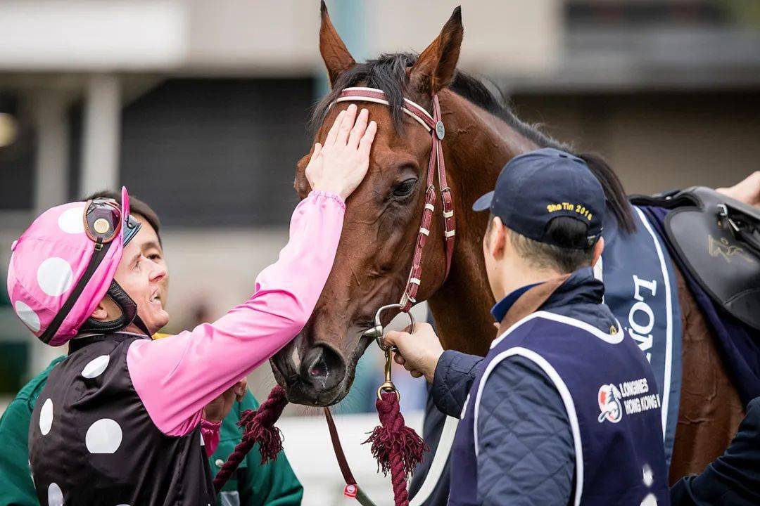 2019年香港马全年资料回顾，赛驹风采与精彩瞬间2019年香港马最准的资料