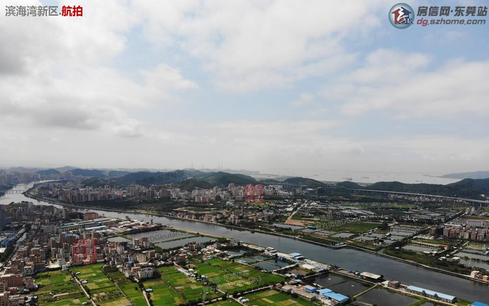 2035年，未来趋势与资料大全完整版2020资料大全免费