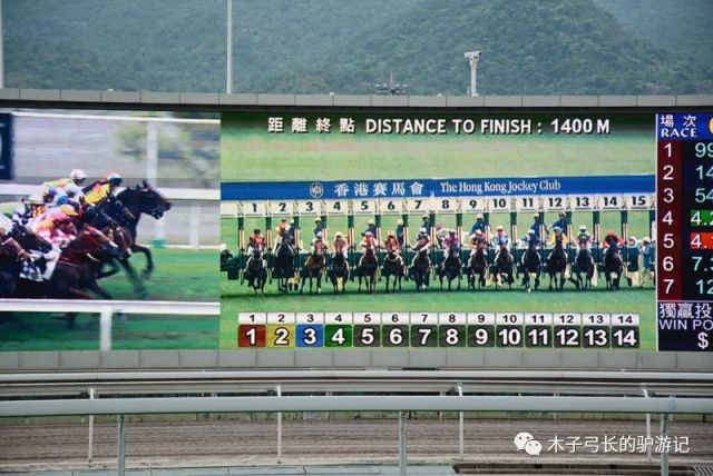 2019年香港马会资料大全，探索赛马的魅力与文化