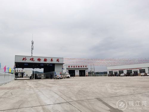 广西12530,打造乡村振兴新引擎的数字平台广西125