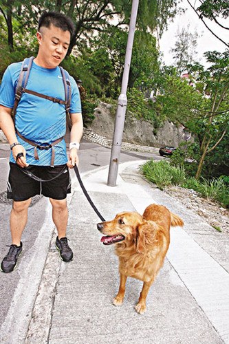 免费资料大全，香港曾道资源的深度探索与利用香港曾道免费资料大全