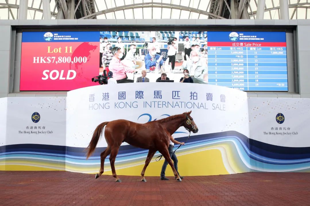 2019香港马会资料大全，免费资源与精彩回顾香港2021年马会资料大全