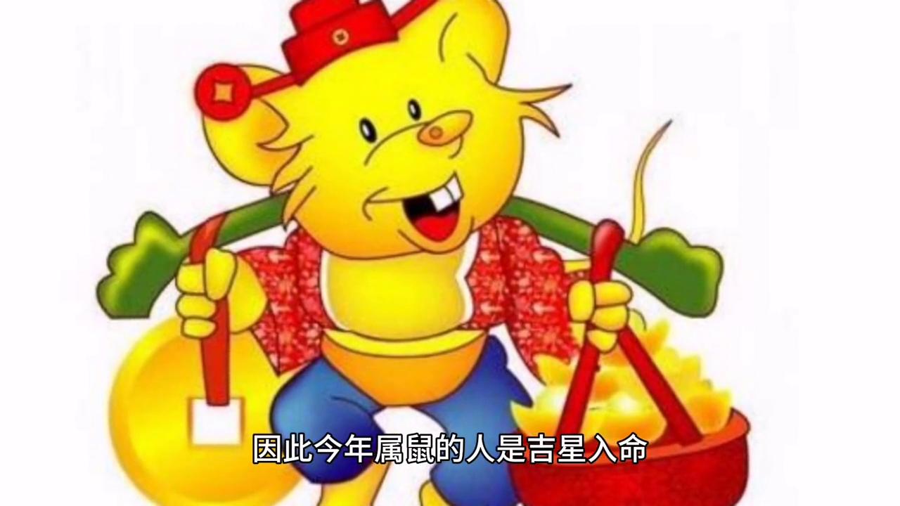 2048年澳门今晚生肖预测，理性与娱乐的边界2024澳门今天晚上开什么生肖啊鼠害怕是什么