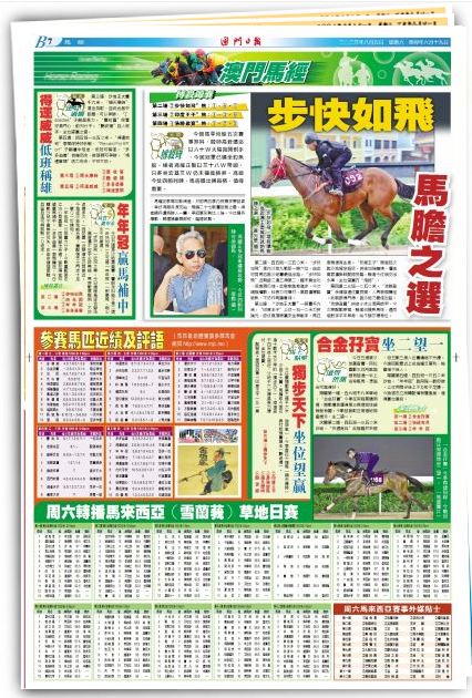 2046新澳正版资料，最新更新与未来展望2024新澳正版资料最新更新生肖梅花诗