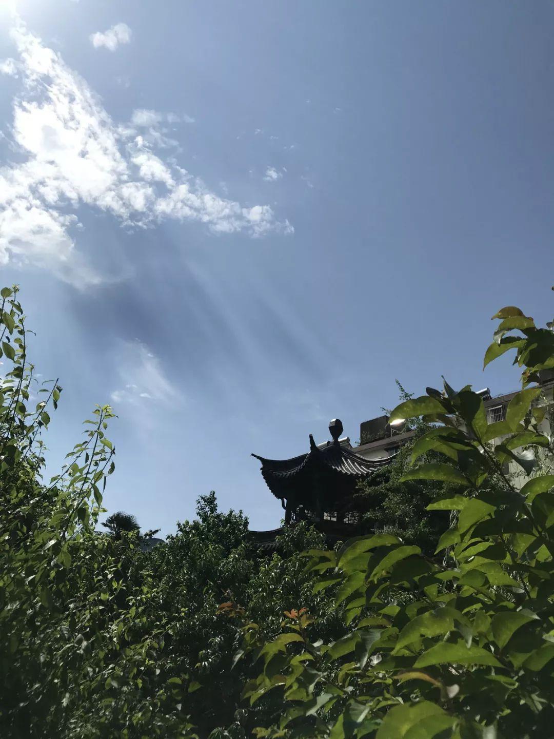 蓝姐三中三大数据论坛，解锁数字时代的智慧交流平台蓝姐三中三论坛资料大全最新版本更新内容介绍