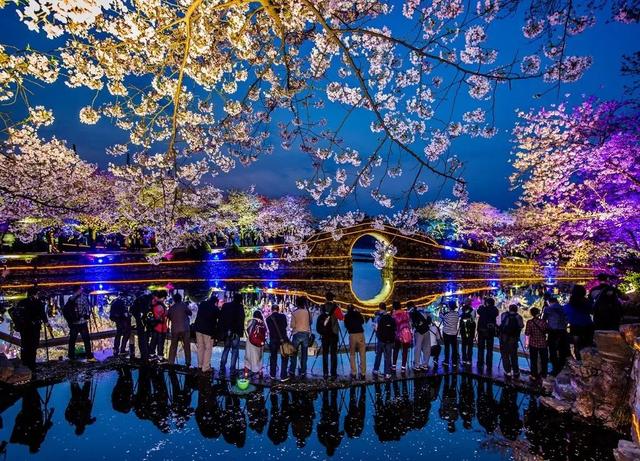 彩天堂，梦幻般的色彩之旅彩天堂平台怎么样