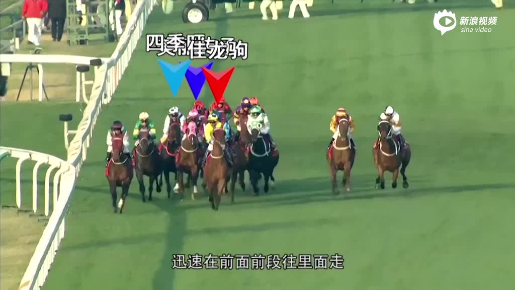 2019年香港马会今期开奖，公益与娱乐的完美融合