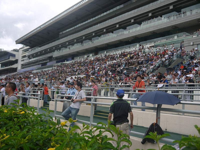 探索香港马会正版资料大全2019，赛马的智慧与乐趣2021年正版马会香港资料大全一