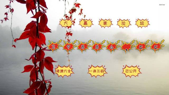 曾道正版资料免费大全，一肖难求的真相与选择曾道正版资料免费大全一肖一码双色球开奖结果