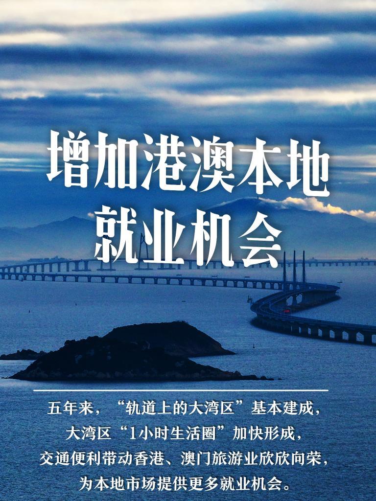 澳门资料大全204年免费，探索新澳门的精彩与机遇2025今晚澳门天天开彩免费开奖结果