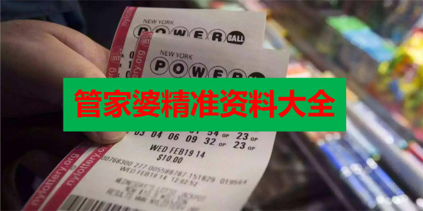 2046澳门精准正版免费大全，揭秘网络彩票的真相与风险2024澳门精准正版免费大全涵盖了广