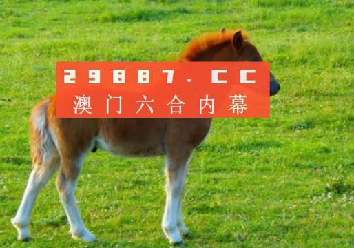 澳门开奖结果与192.0，数字背后的故事澳门开奖结果开奖记录_192.168.0.1生肖