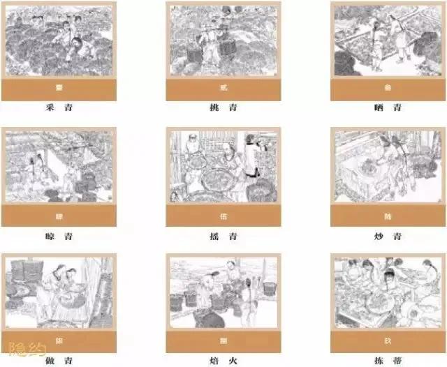 探索天牛3D图与红五图的奥秘，深度汇总与分析天牛3d图红五图库汇总猴多少画