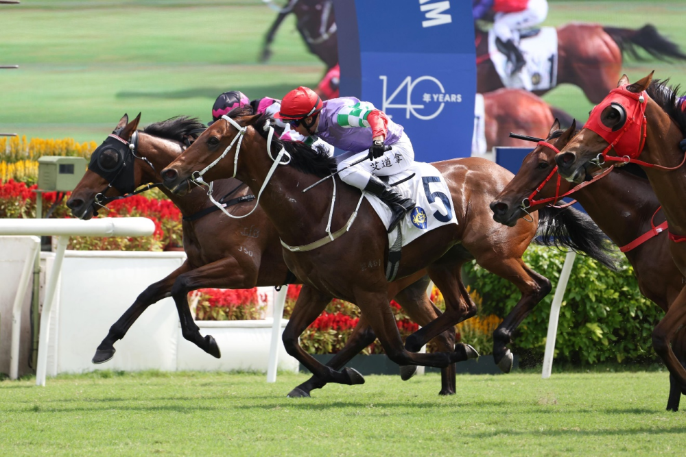 探索香港马会网站，一站式赛马的精彩世界香港免费公开资料大全