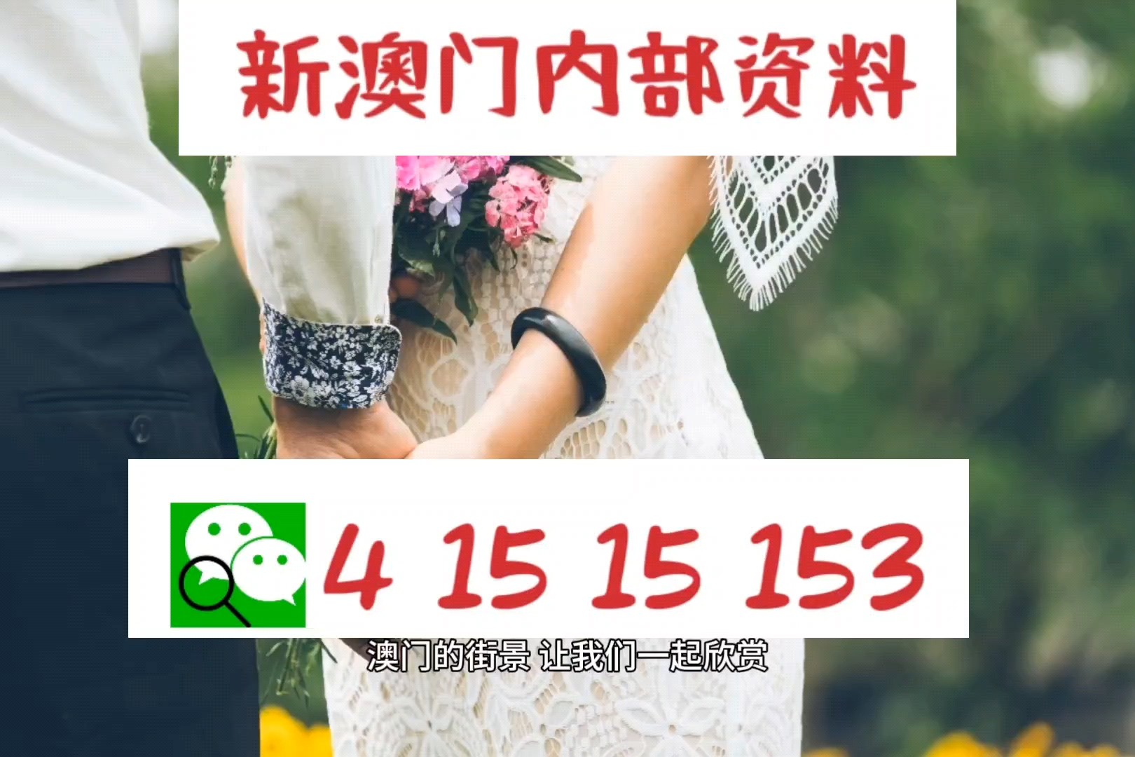 2049，新澳门免费资料大揭秘2025年正版资料免费大全