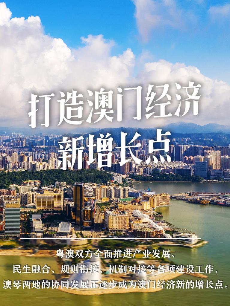 2036年澳门正版资料大全公开，透视未来趋势与机遇2023年澳门正版资料大全公开软件特色