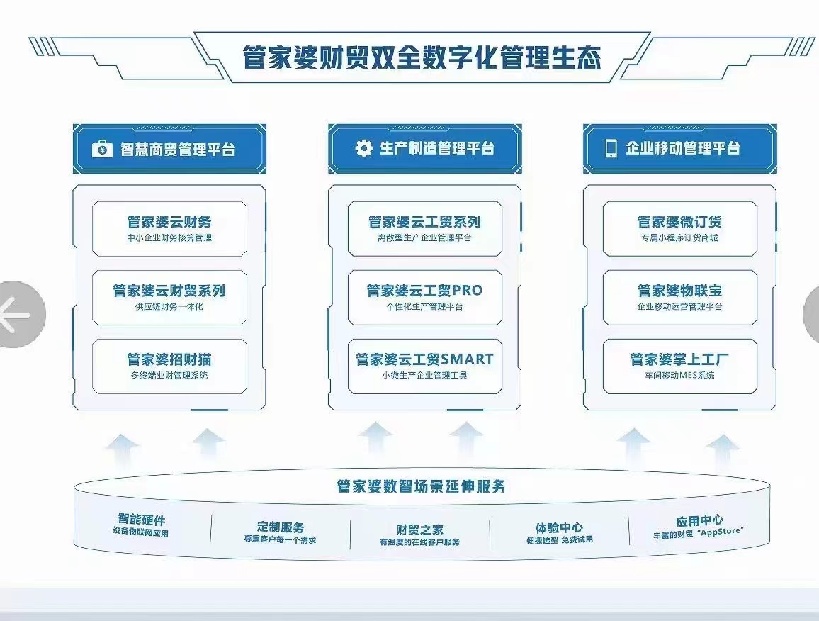 2035年新澳，智能管家婆的未来展望