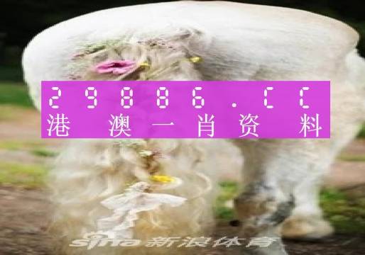 澳门203年精准资料全年免费，探索与共享的智慧之选澳门2023精准资料全年免费聚宝盆