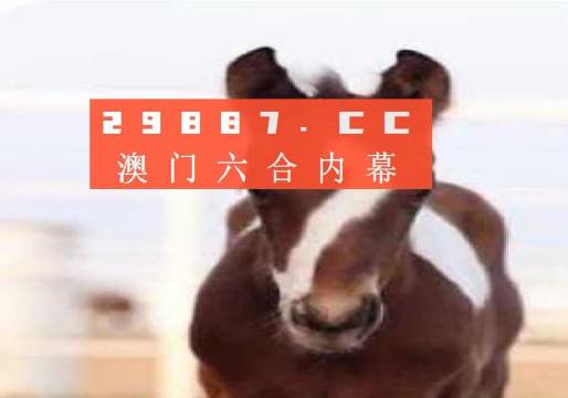 澳门一肖中特精准预测，揭秘背后的数字逻辑与概率学澳门一肖一码100精准正版诗象