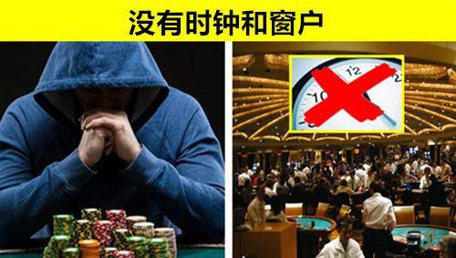 2048年澳门管家婆资料大全，揭秘未来赌场风云与数据洞察的奥秘（虚构文章）澳门管家婆资枓大全2020