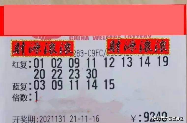 探索香港今期开奖结果，彩民的期待与现实交织香港今期开奖结果号码
