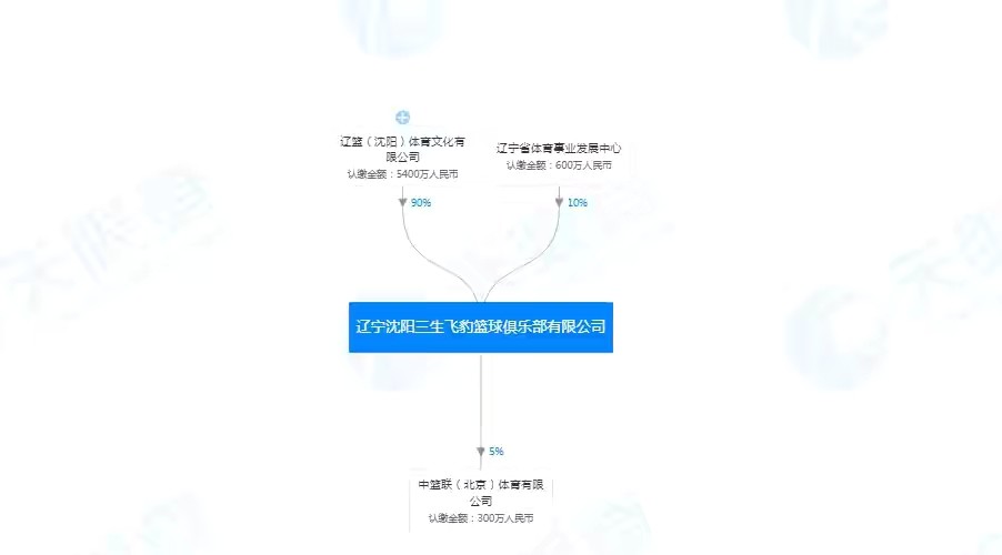 揭秘二四六玄机图，资料大全与深度解析二四六玄机图 资料大全优势