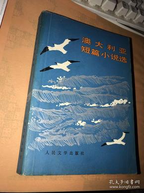 澳大小说网，文学的海洋，创意的无垠之地澳大小说网龟甲小说