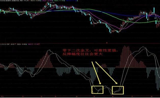 揭秘香港特马资料大全，从历史到技巧的全面解析香港特马资料大全2020年