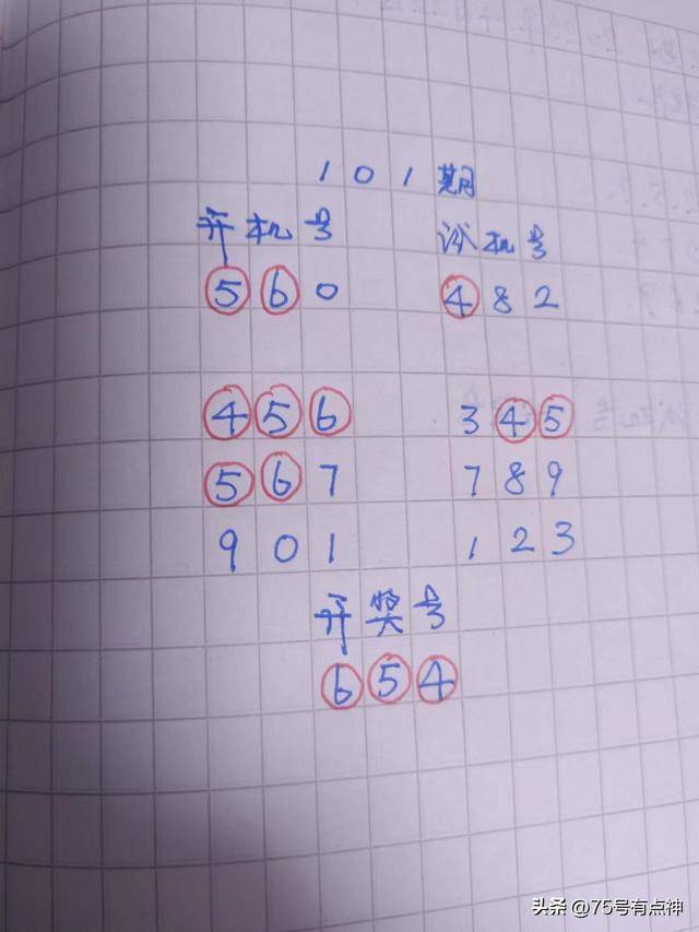 今日3D开机号与试机号的精彩揭秘，开奖前的热身运动今天3d开机号和试机号列表开奖卜